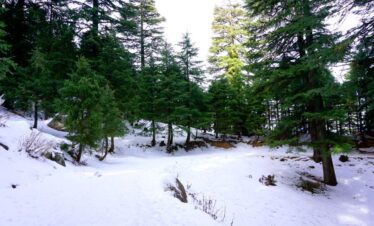 Dalhousie