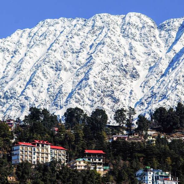 Dharamshala mountain view