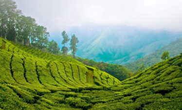 Munnar view of hills