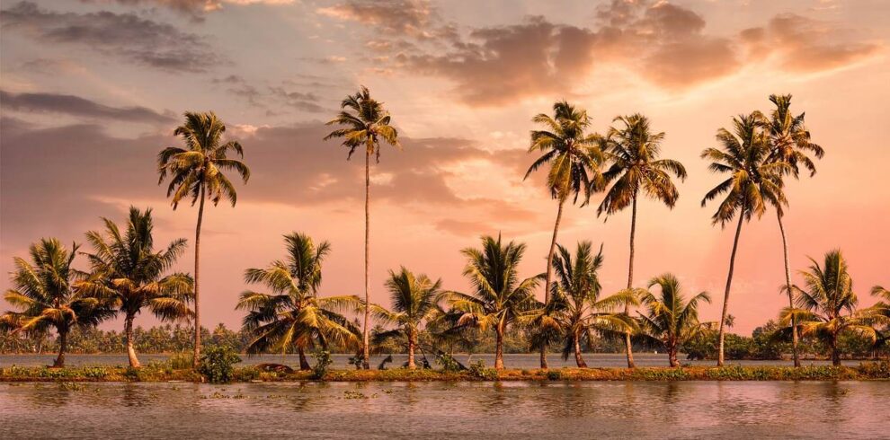 Alleppey Backwaters
