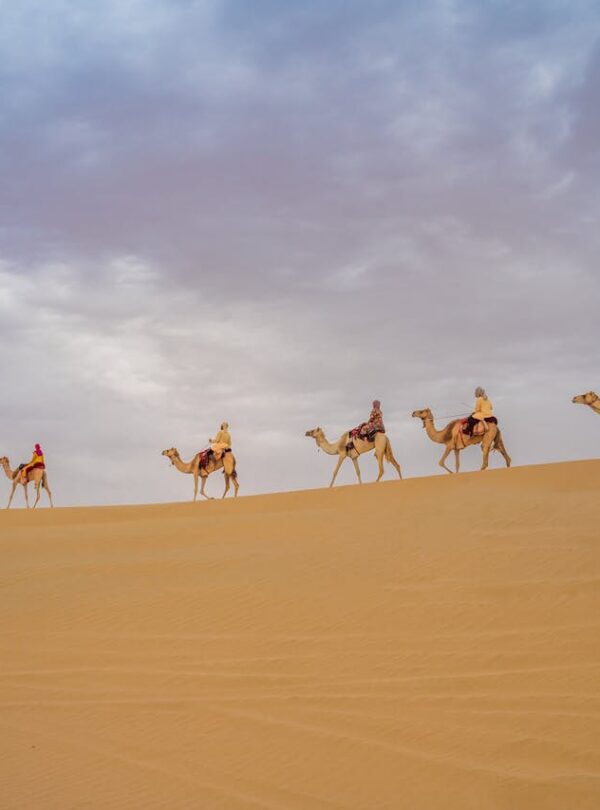 Dessert safari at Dubai