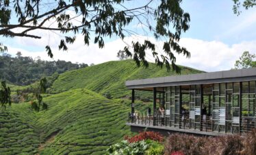 Cameron highlands